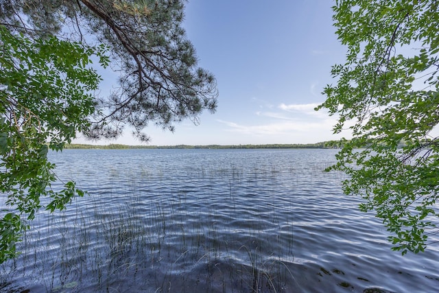 1269 Wabedo Pass Rd NE, Longville, MN 56655 - photo 15