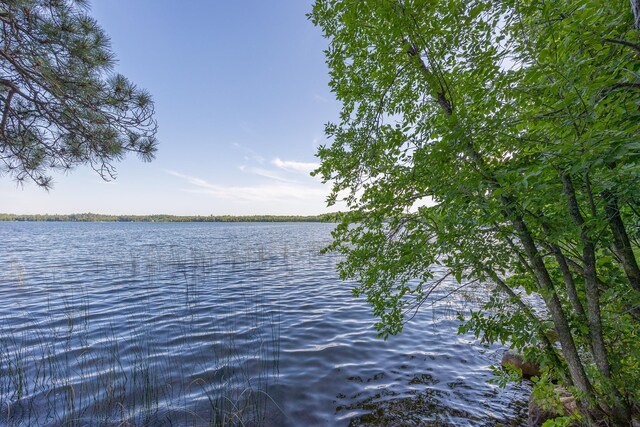 1269 Wabedo Pass Rd NE, Longville, MN 56655 - photo 16