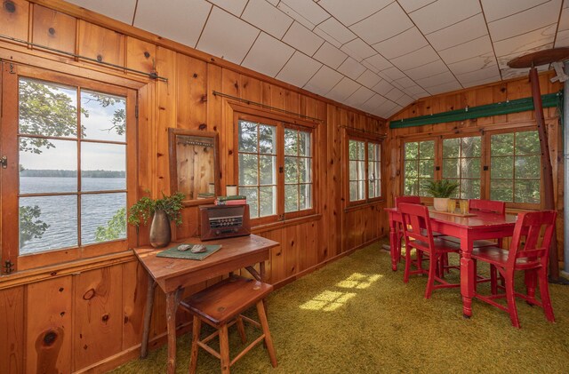 1269 Wabedo Pass Rd NE, Longville, MN 56655 - photo 29