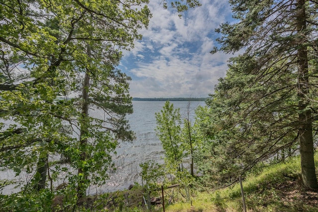 1269 Wabedo Pass Rd NE, Longville, MN 56655 - photo 50