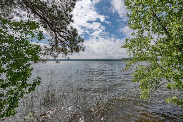 1269 Wabedo Pass Rd NE, Longville, MN 56655 - photo 51