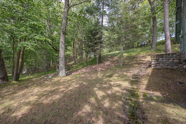 1269 Wabedo Pass Rd NE, Longville, MN 56655 - photo 53