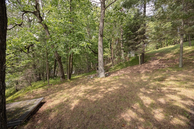 1269 Wabedo Pass Rd NE, Longville, MN 56655 - photo 54