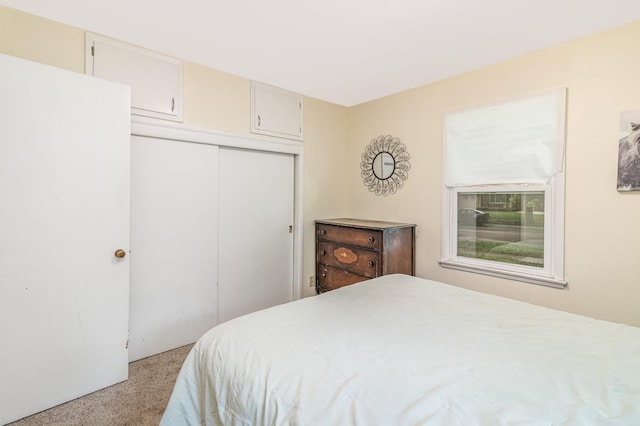 1610 Knight Ave N, Glencoe, MN 55336 - photo 13