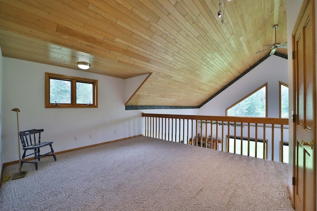11783 River Vista Dr, Baxter, MN 56425 - photo 18