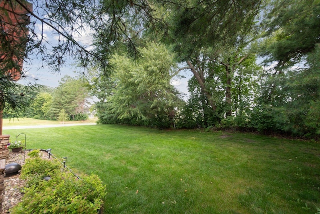 2906 Butternut Dr, Chaska, MN 55318 - photo 49