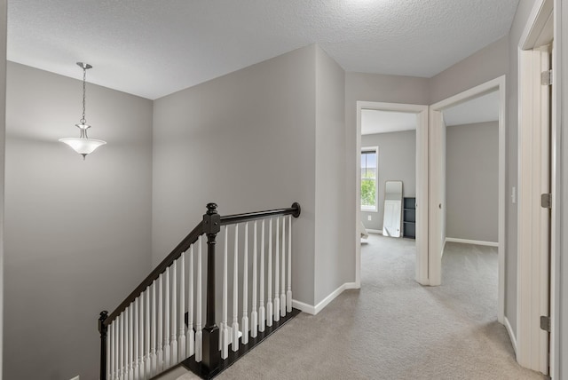 8113 Central Park Way N, Maple Grove, MN 55369 - photo 23
