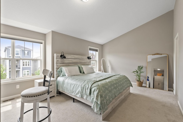 8113 Central Park Way N, Maple Grove, MN 55369 - photo 28