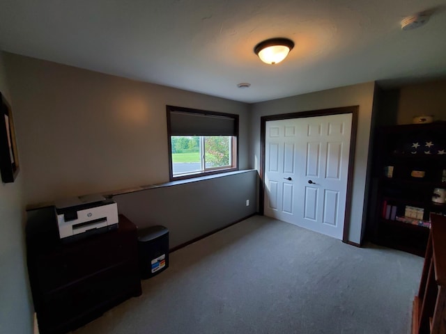 822 Deer Path, Montgomery, MN 56069 - photo 38