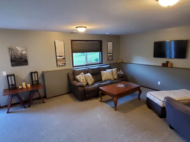 822 Deer Path, Montgomery, MN 56069 - photo 44