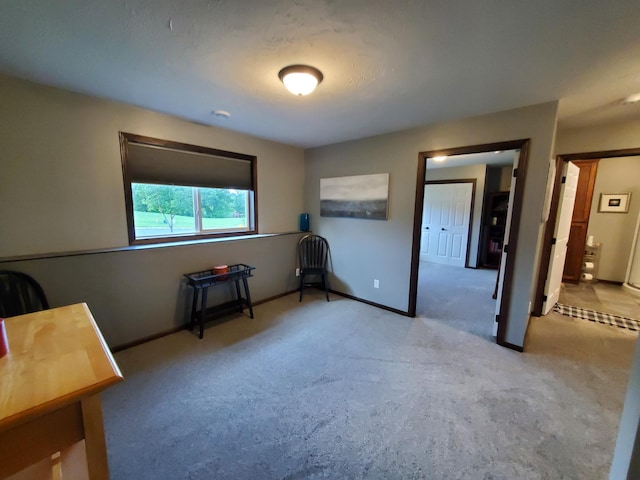 822 Deer Path, Montgomery, MN 56069 - photo 49
