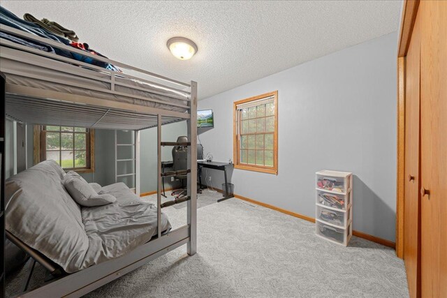 33687 Washington St NE, Cambridge, MN 55008 - photo 26