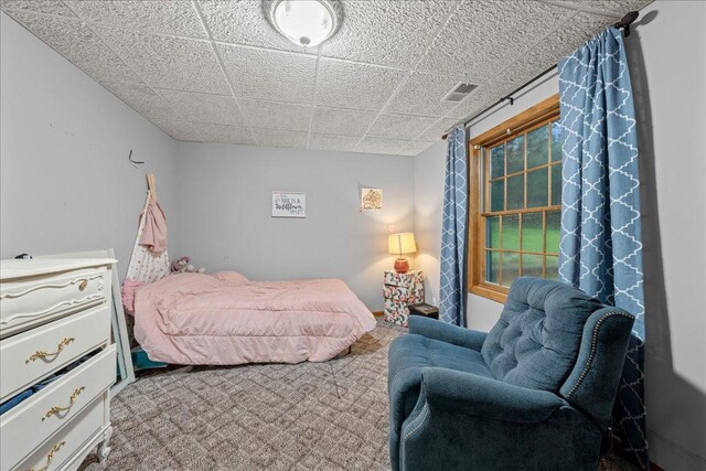 33687 Washington St NE, Cambridge, MN 55008 - photo 34
