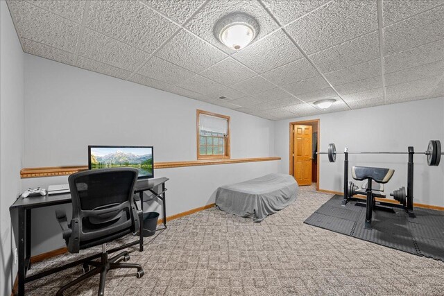 33687 Washington St NE, Cambridge, MN 55008 - photo 35