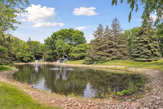 7250 Lewis Ridge Parkway Unit 109, Edina, MN 55439 - photo 61