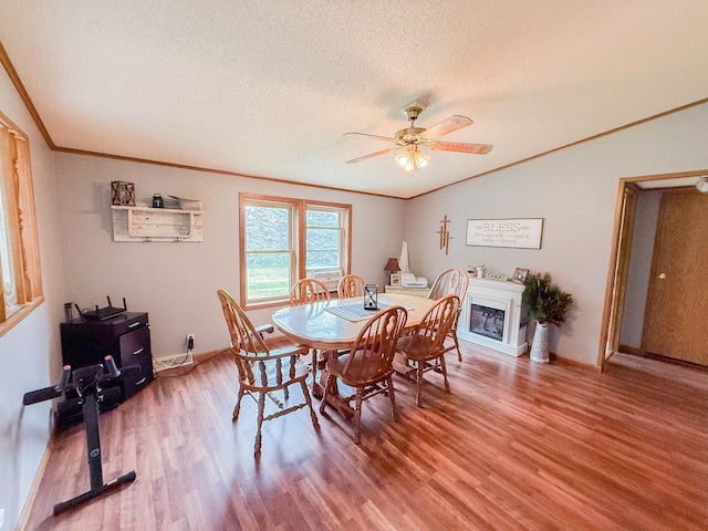 8387 75th Ave SW, Raymond, MN 56282 - photo 16