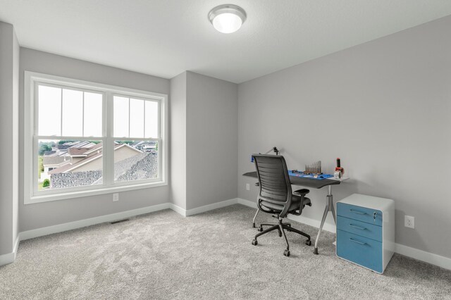4970 93rd Ln N, Brooklyn Park, MN 55443 - photo 22