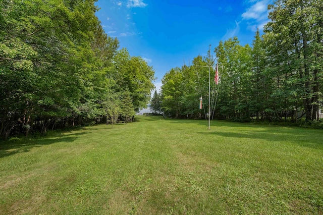 28654 Grozys Point Rd, Pengilly, MN 55775 - photo 5