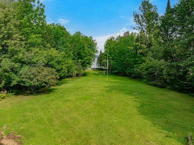 28654 Grozys Point Rd, Pengilly, MN 55775 - photo 42