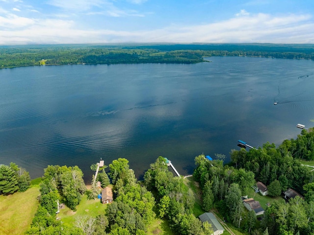 28654 Grozys Point Rd, Pengilly, MN 55775 - photo 45