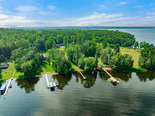 28654 Grozys Point Rd, Pengilly, MN 55775 - photo 47