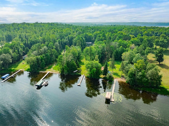 28654 Grozys Point Rd, Pengilly, MN 55775 - photo 48