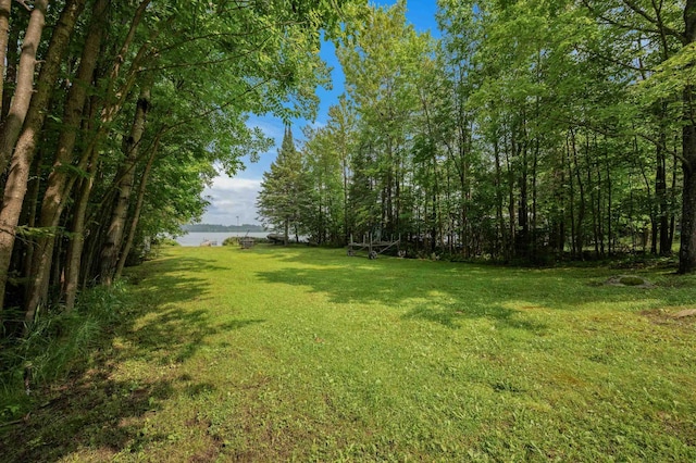 28654 Grozys Point Rd, Pengilly, MN 55775 - photo 50