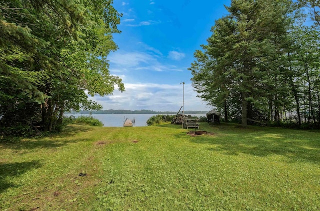 28654 Grozys Point Rd, Pengilly, MN 55775 - photo 51