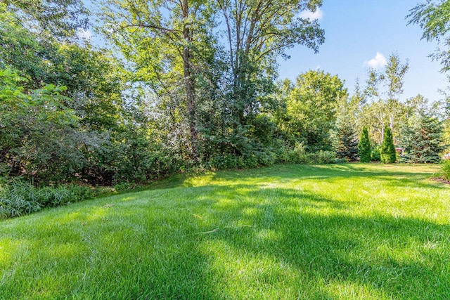 11388 Avery Dr, Inver Grove Heights, MN 55077 - photo 39