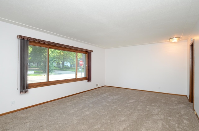 285 Geranium Ave W, Saint Paul, MN 55117 - photo 15