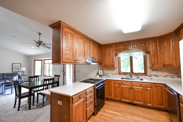 115 Sugarloaf Ln, Zumbrota, MN 55992 - photo 5