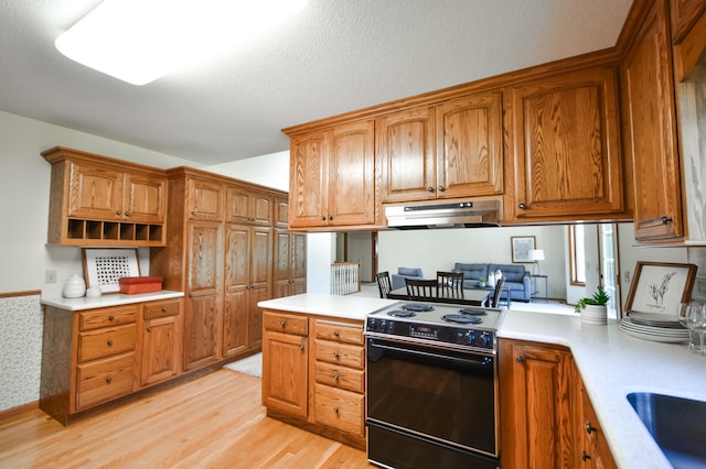 115 Sugarloaf Ln, Zumbrota, MN 55992 - photo 6