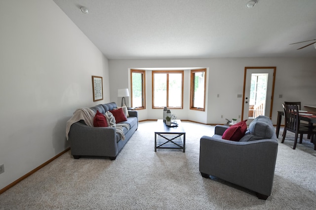 115 Sugarloaf Ln, Zumbrota, MN 55992 - photo 11