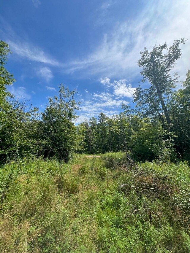 32530 186th St, Isle, MN 56342 - photo 9