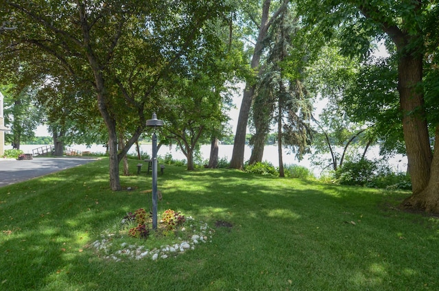 3838 Lakeland Ave N, Robbinsdale, MN 55422 - photo 25