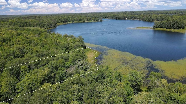 3275 Boreal Ln, Woodrow Twp, MN 56452 - photo 3