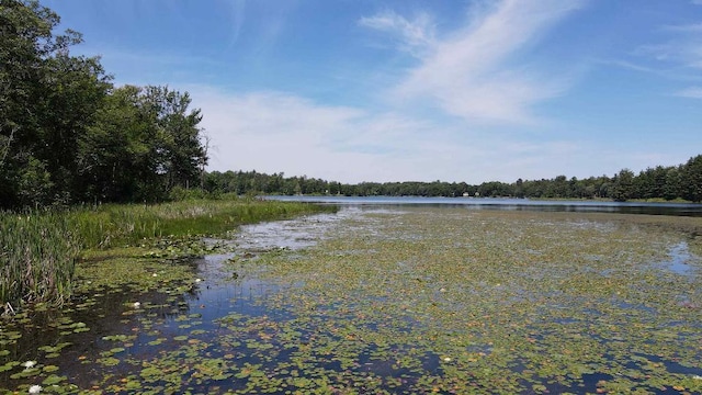 3275 Boreal Ln, Woodrow Twp, MN 56452 - photo 4