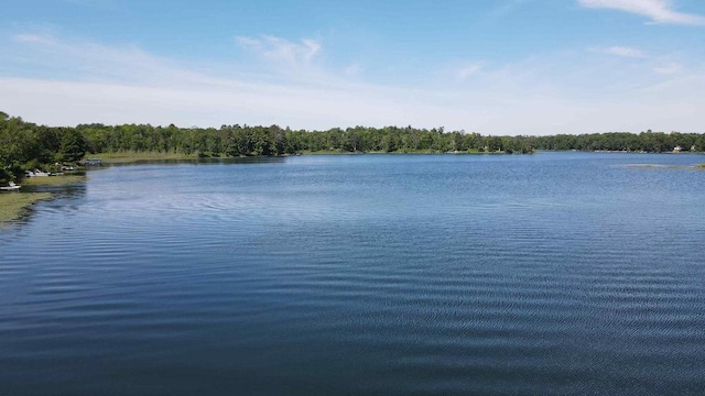 3275 Boreal Ln, Woodrow Twp, MN 56452 - photo 5
