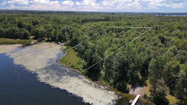 3275 Boreal Ln, Woodrow Twp, MN 56452 - photo 8