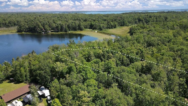 3275 Boreal Ln, Woodrow Twp, MN 56452 - photo 10