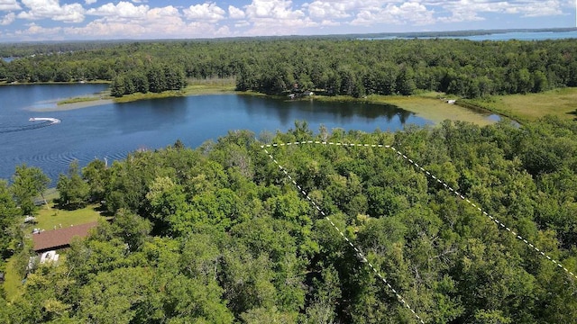 3275 Boreal Ln, Woodrow Twp, MN 56452 - photo 11