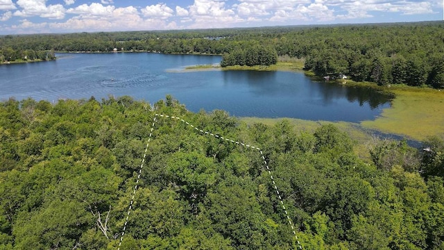 3275 Boreal Ln, Woodrow Twp, MN 56452 - photo 12