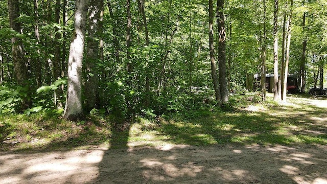 3275 Boreal Ln, Woodrow Twp, MN 56452 - photo 19