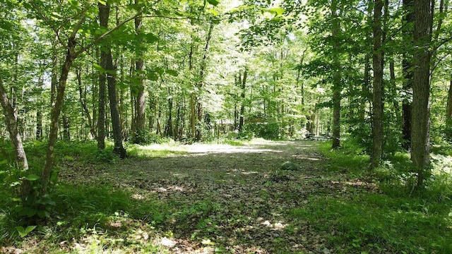 3275 Boreal Ln, Woodrow Twp, MN 56452 - photo 20