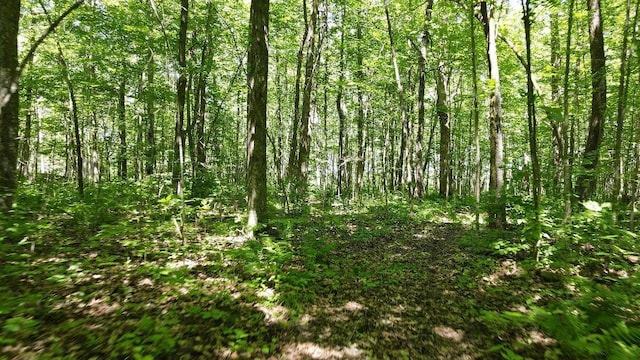 3275 Boreal Ln, Woodrow Twp, MN 56452 - photo 22