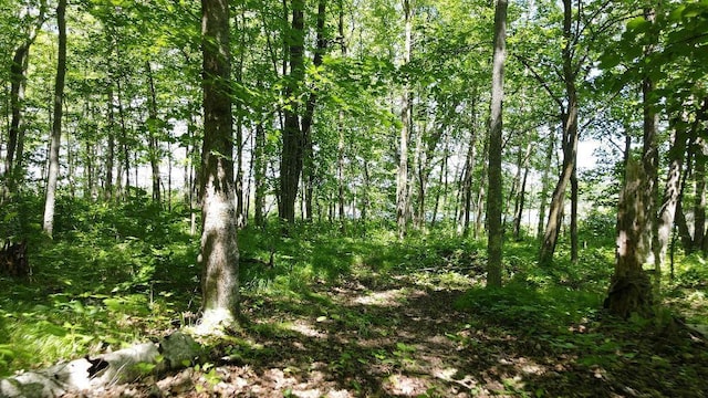 3275 Boreal Ln, Woodrow Twp, MN 56452 - photo 24
