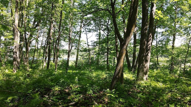 3275 Boreal Ln, Woodrow Twp, MN 56452 - photo 25