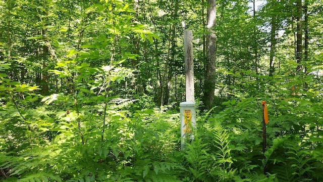3275 Boreal Ln, Woodrow Twp, MN 56452 - photo 32