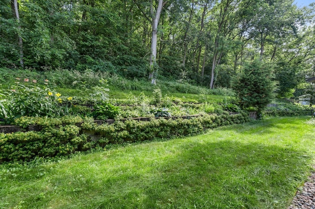 S3576 Sugar Maple Ln, Buffalo City, WI 54629 - photo 33