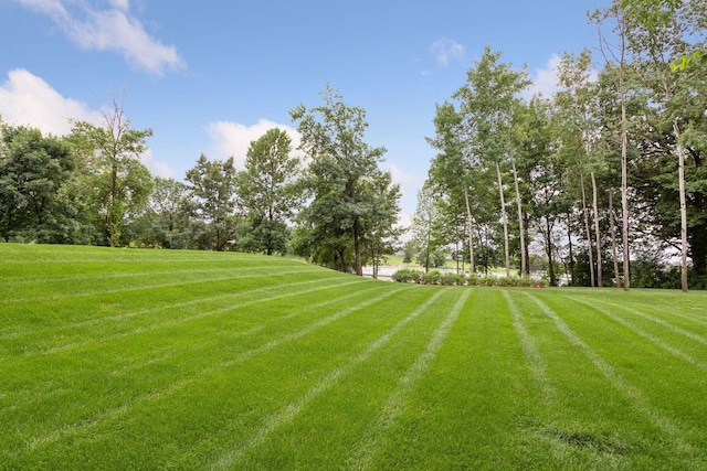 746 Peninsula Point Rd, Shakopee, MN 55379 - photo 8